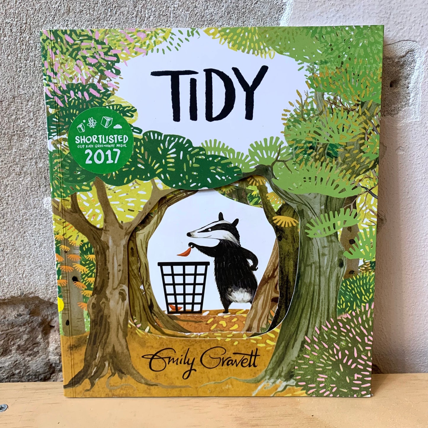 Tidy – Emily Gravett