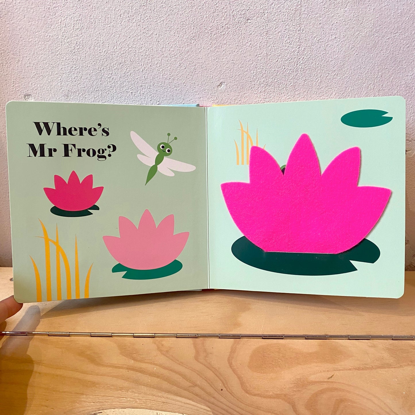 Where's Mr Duck? / Ingela P. Arrhenius