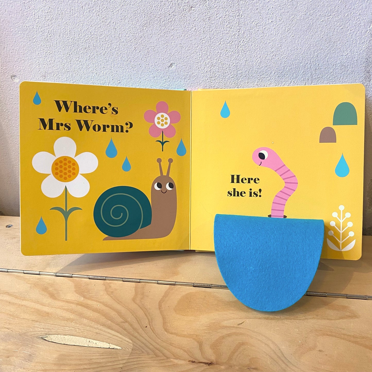 Where's Mr Duck? / Ingela P. Arrhenius