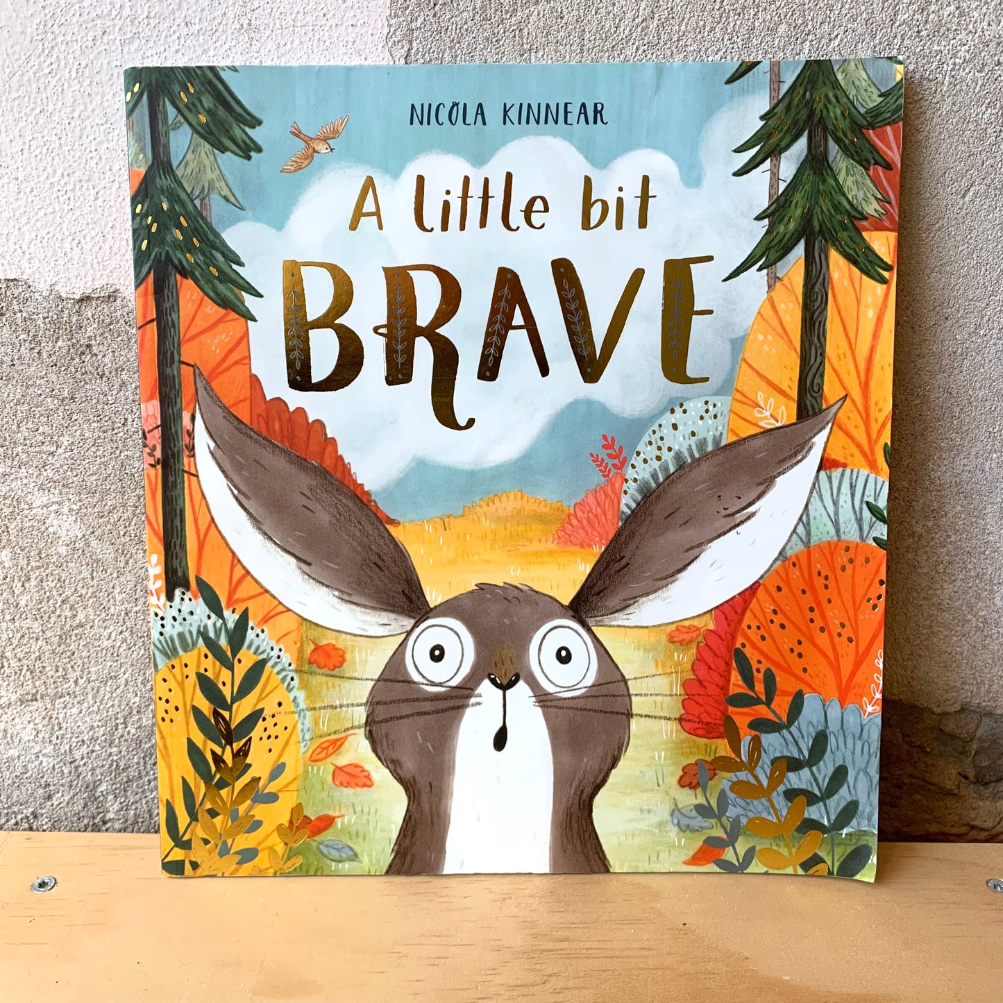 A Little Bit Brave – Nicola Kinnear