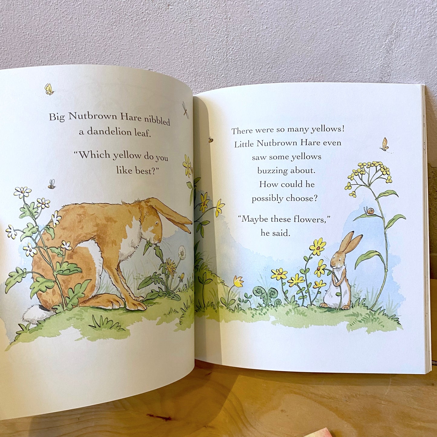 Guess How Much I Love You All Year Round – Sam McBratney, Anita Jeram