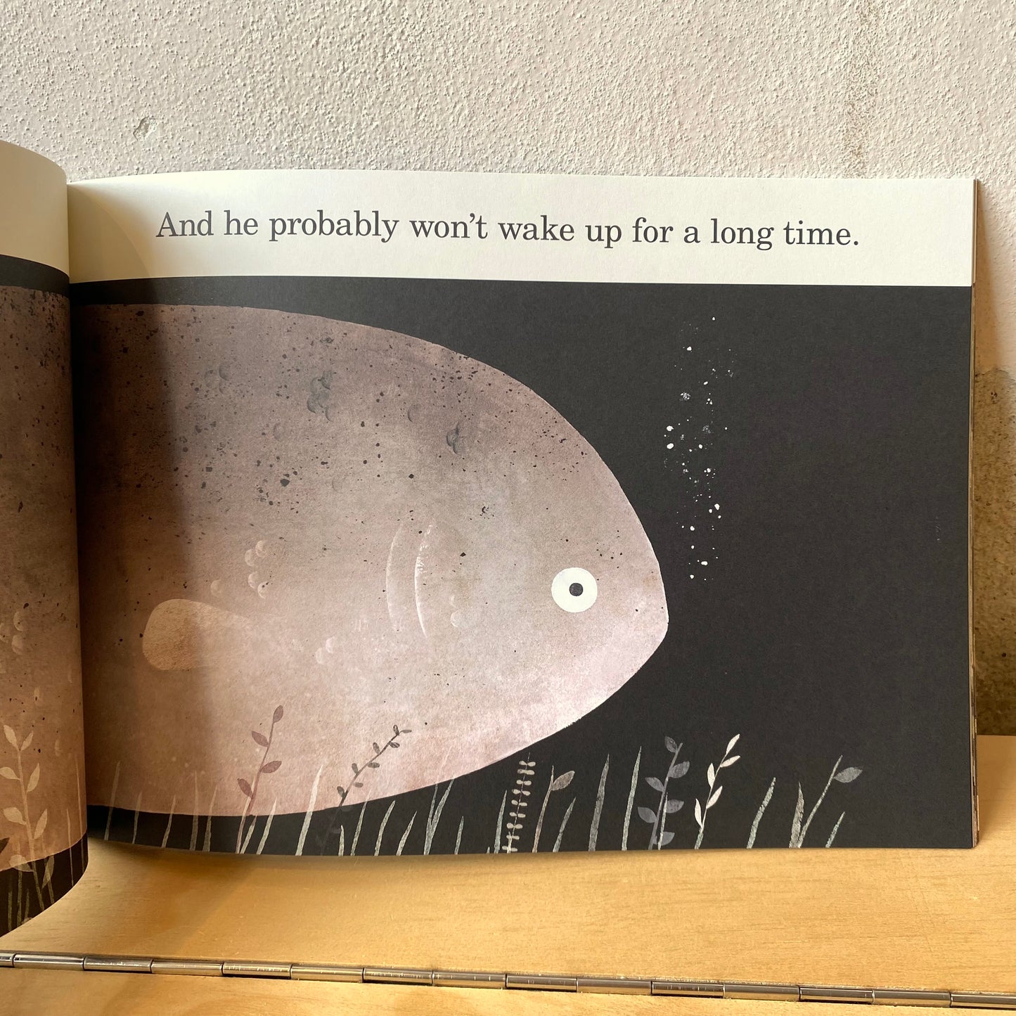 This Is Not My Hat – Jon Klassen