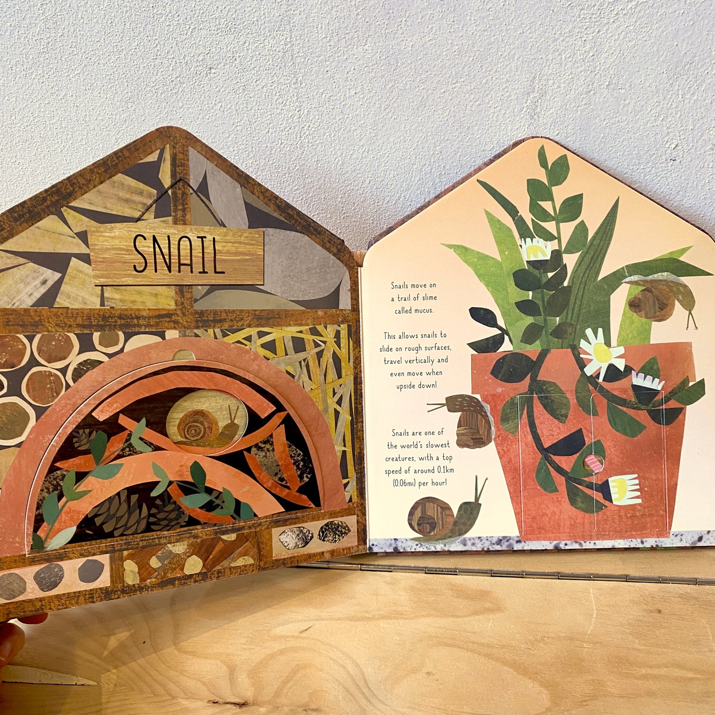 Bug Hotel (Lift-the-Flap) - Libby Walden, Clover Robin