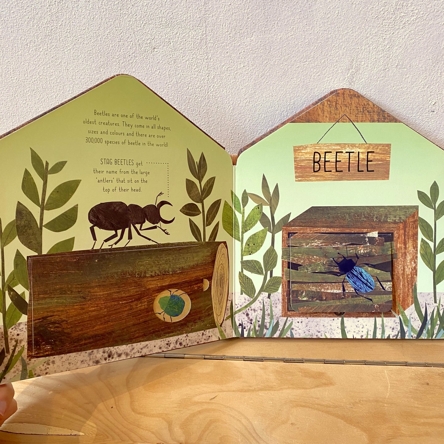 Bug Hotel (Lift-the-Flap) - Libby Walden, Clover Robin