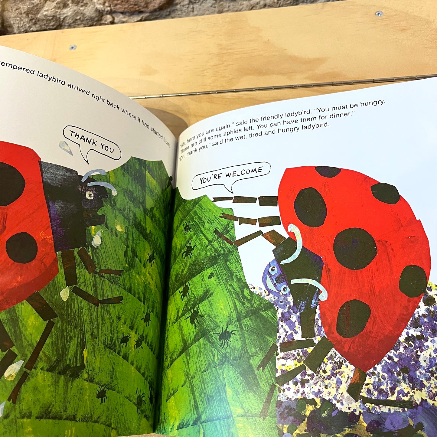 The Bad-Tempered Ladybird – Eric Carle