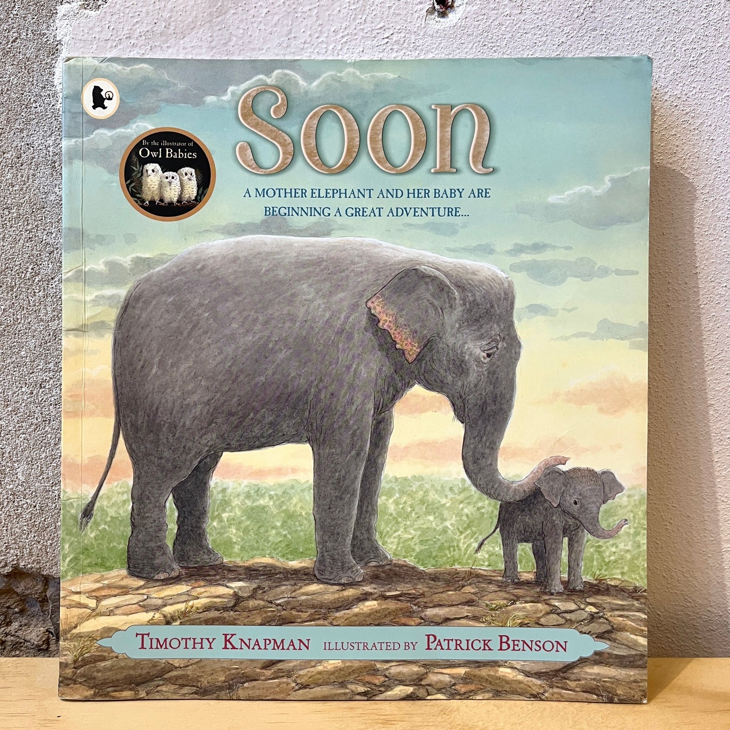 Soon – Timothy Knapman, Patrick Benson