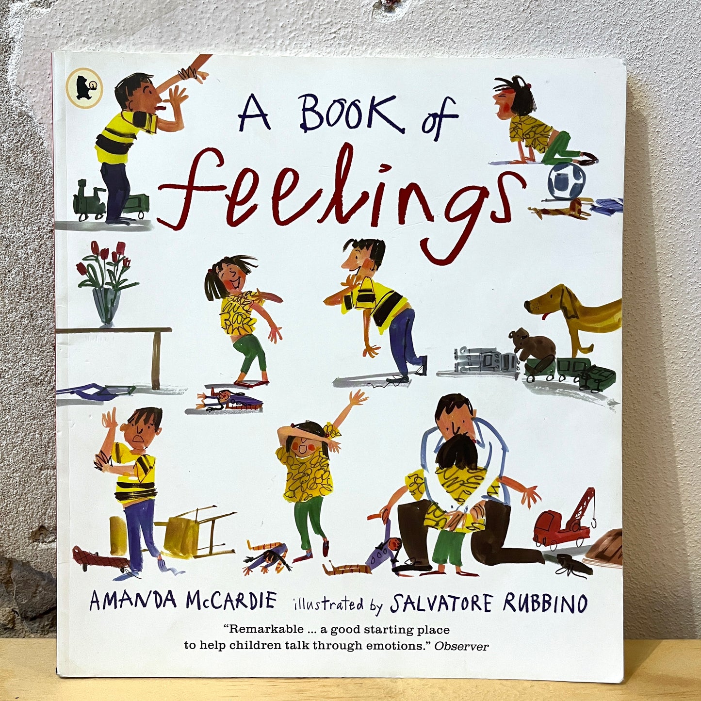 A Book of Feelings – Amanda McCardie, Salvatore Rubbino