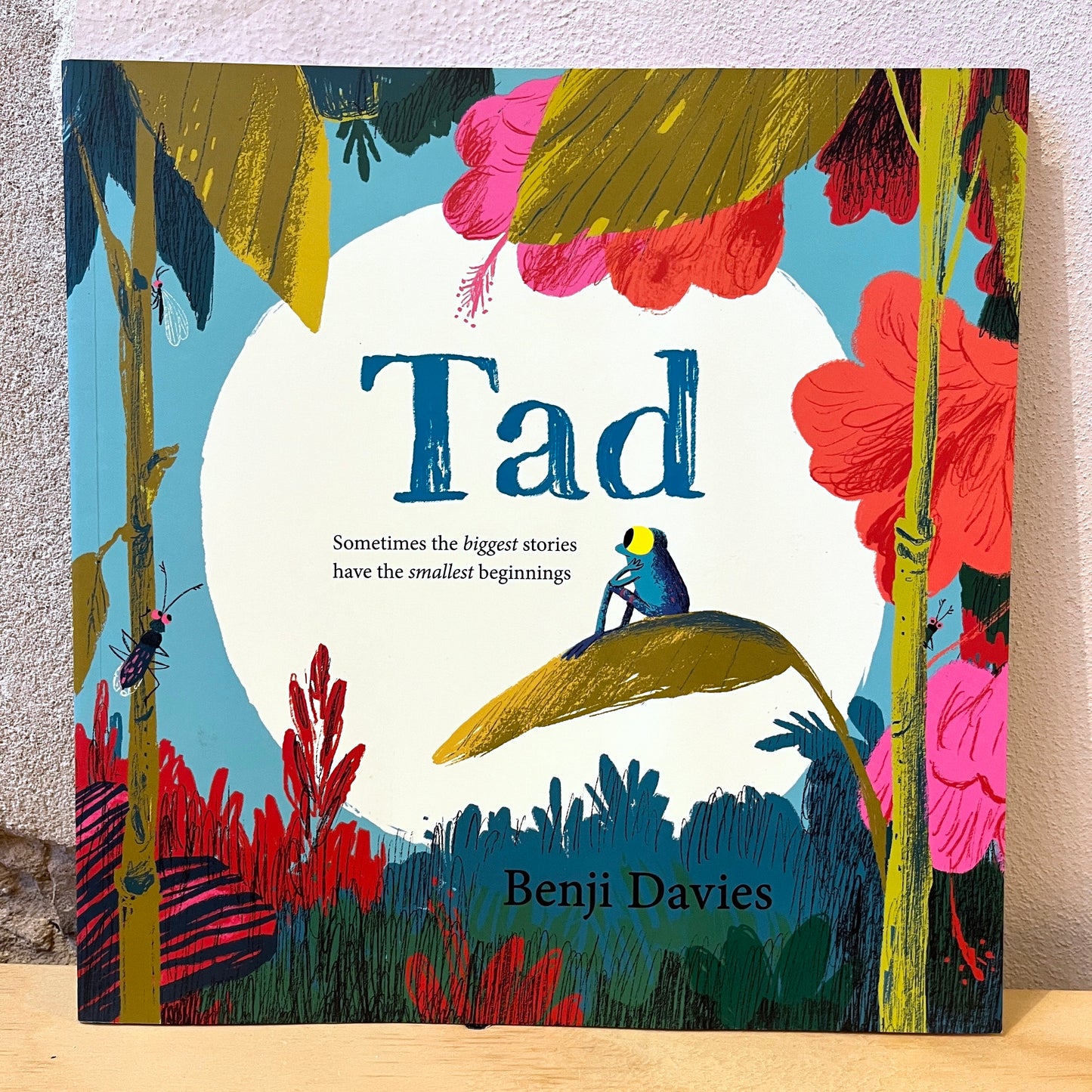 Tad – Benji Davies