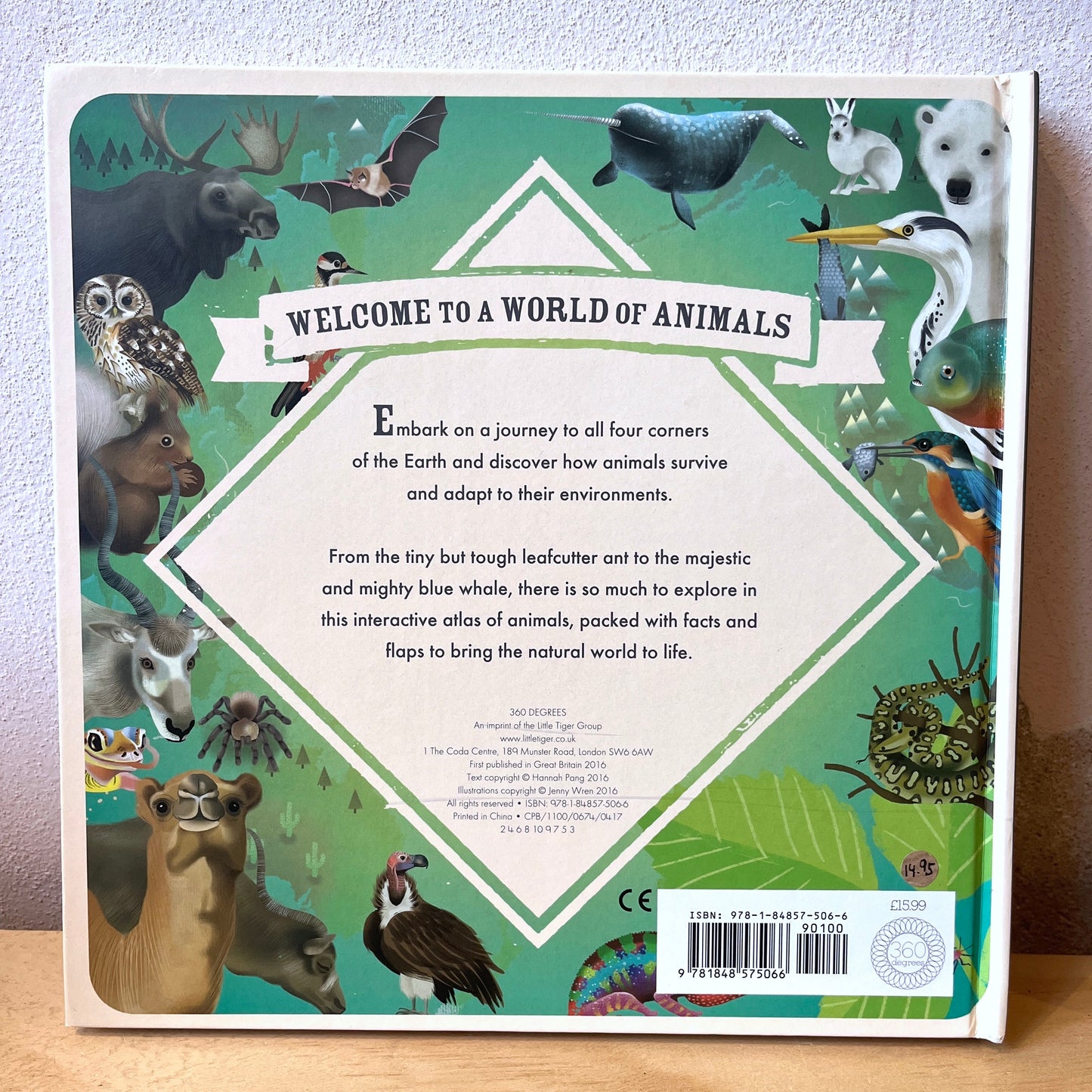 Wilderness: An Interactive Atlas of Animals – Hannah Pang, Jenny Wren