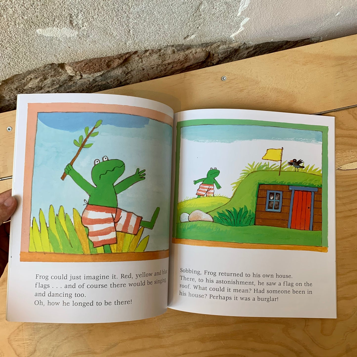 Frog and a Very Special Day – Max Velthuis