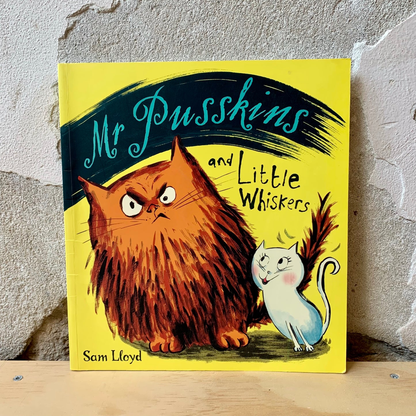 Mr. Pusskins and Little Whiskers – Sam Lloyd