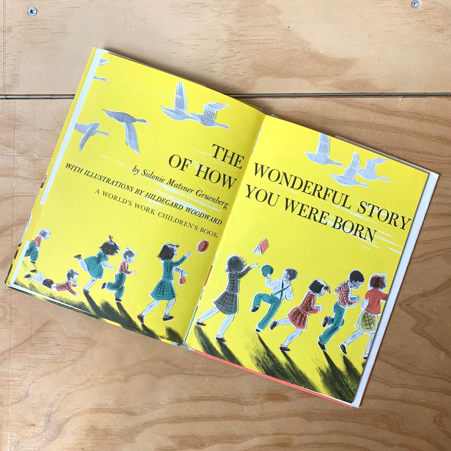 The Wonderful Story of How You Were Born – Sidonie Matsner Gruenberg