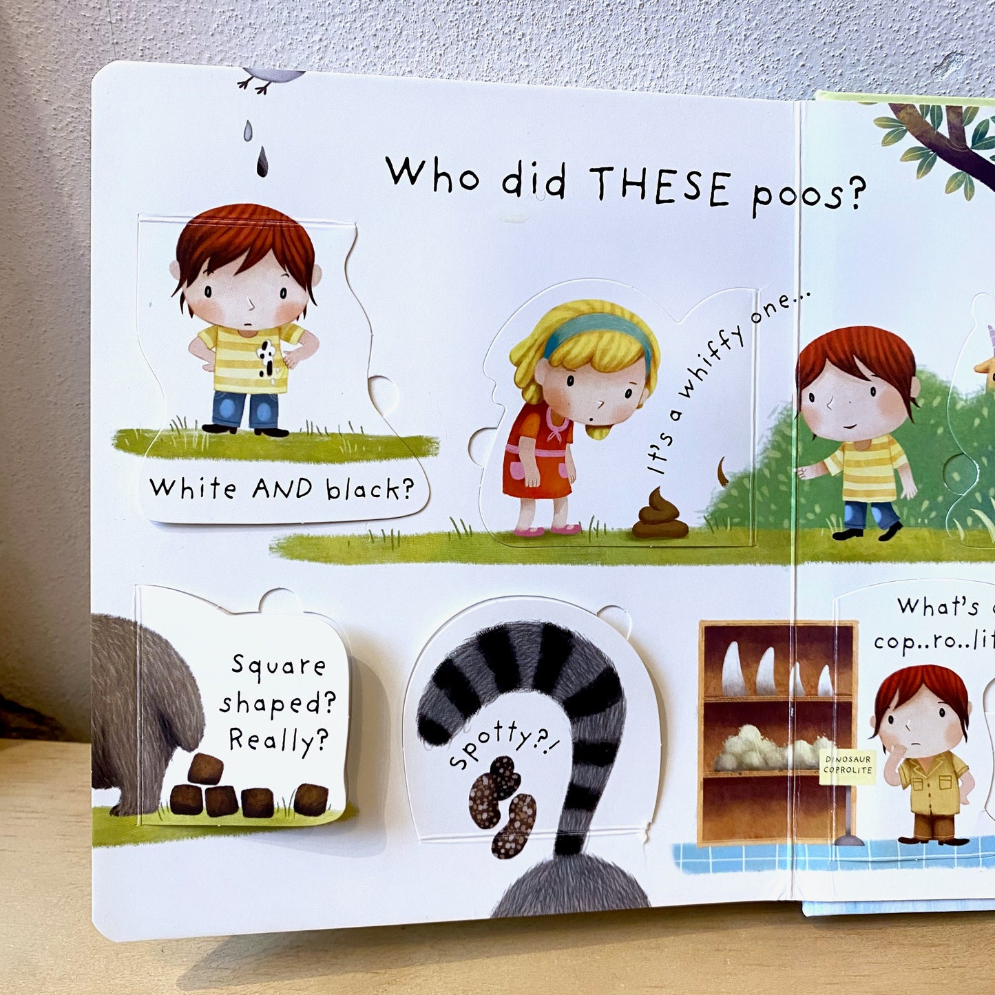 Lift-The-Flap Very First Questions and Answers: What Is Poo? / Katie Daynes