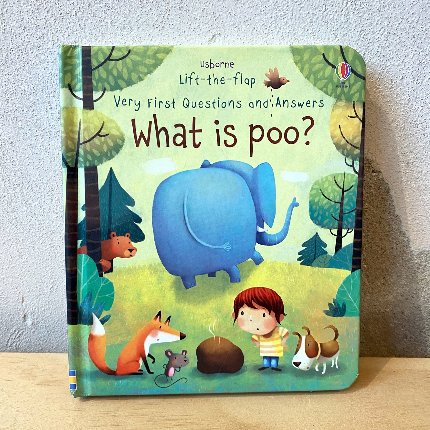 Lift-The-Flap Very First Questions and Answers: What Is Poo? / Katie Daynes